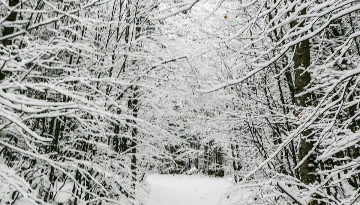 © DAV Teisendorf / OG Waging