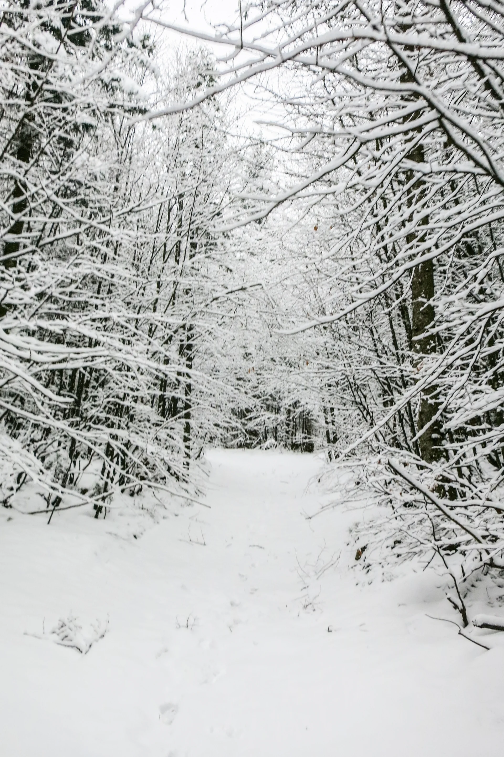 © DAV Teisendorf / OG Waging