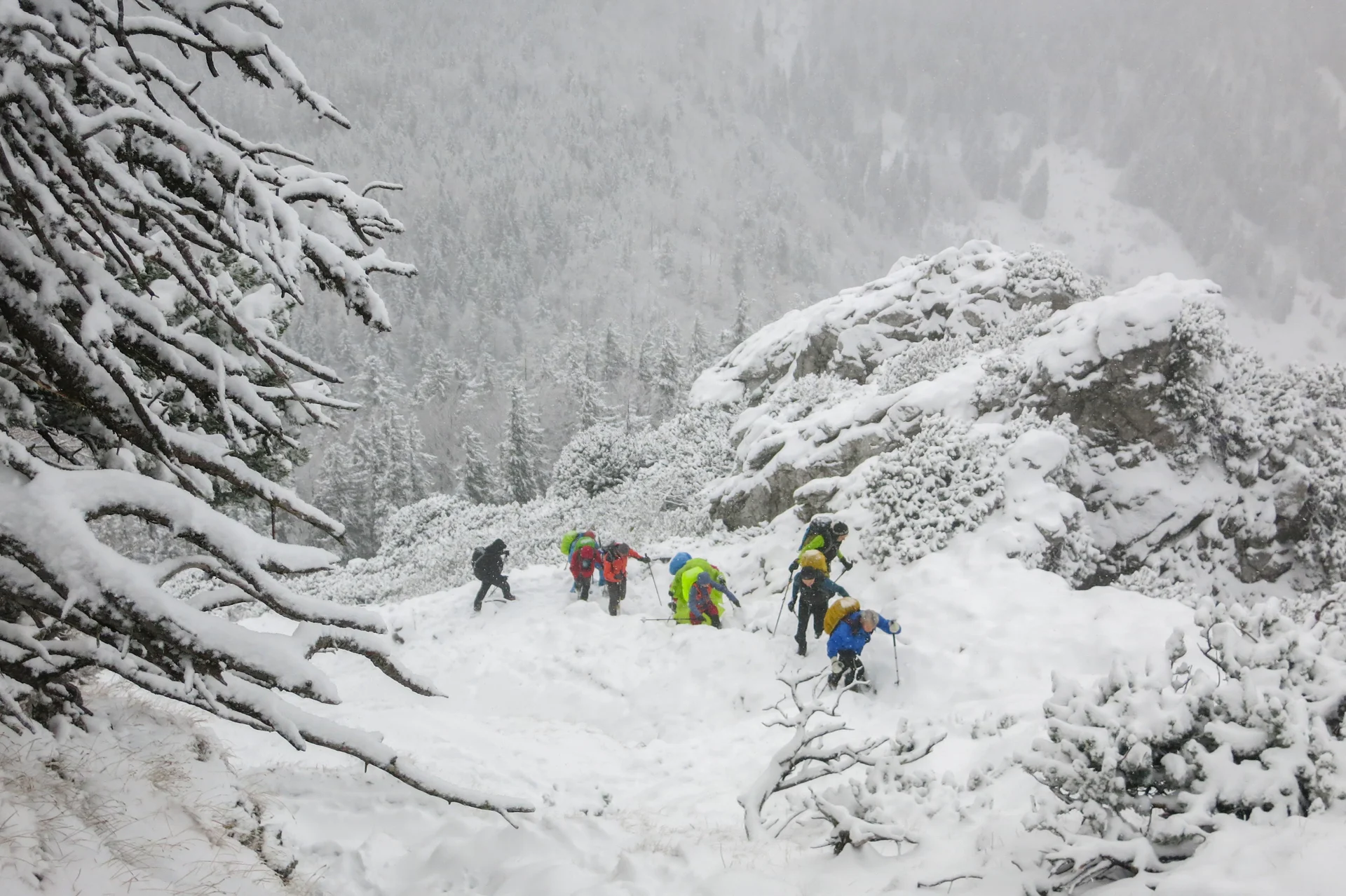 © DAV Teisendorf / OG Waging