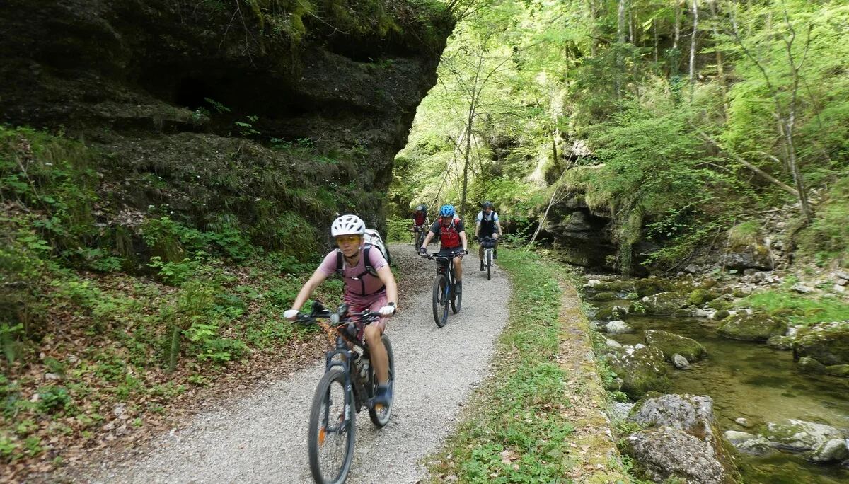 © DAV Teisendorf - OG Waging - In der Glasenbachklamm