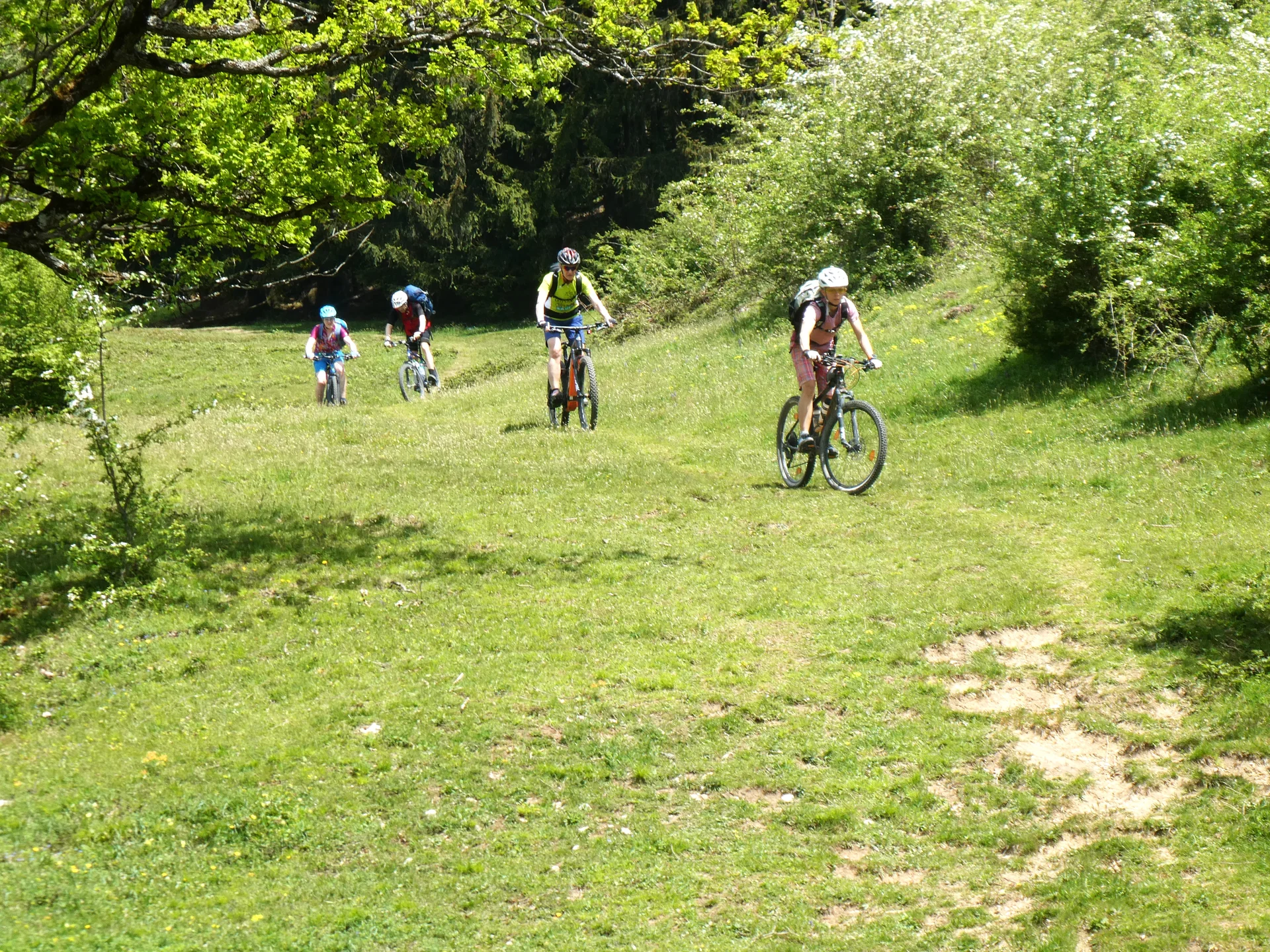 © DAV Teisendorf - OG Waging - Tolle Wiesenwege