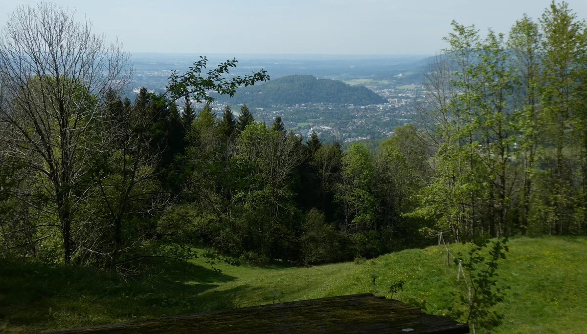 © DAV Teisendorf - OG Waging - Blick gegen Salzburg
