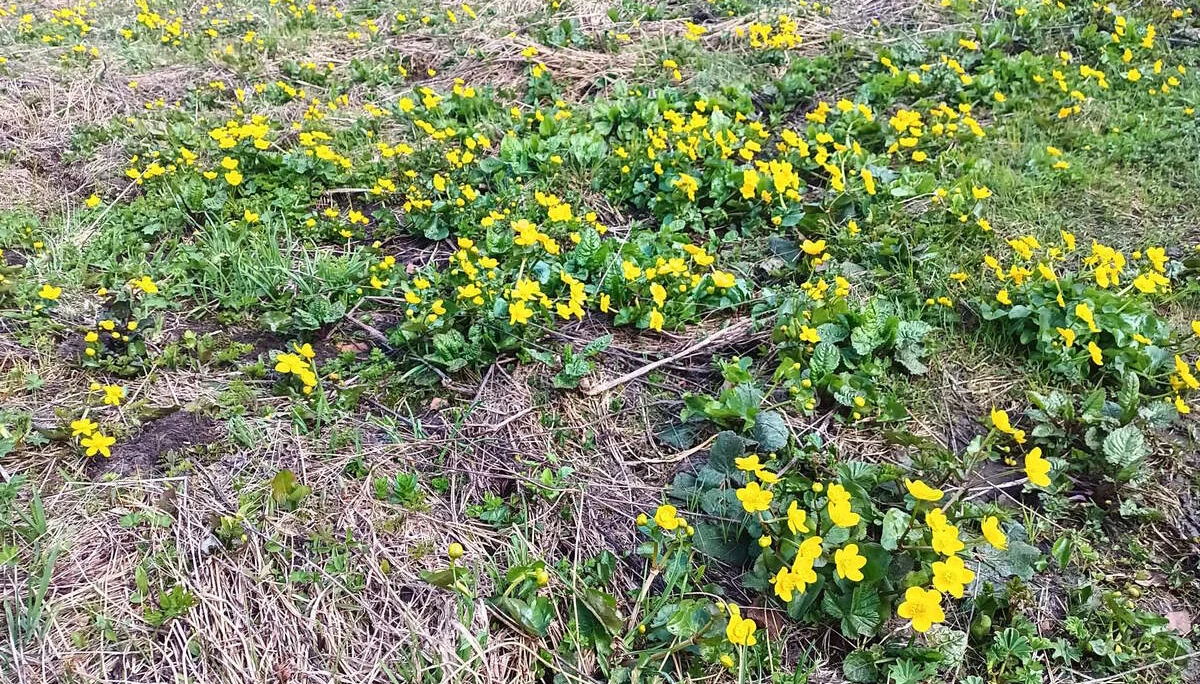 © DAV Teisendorf / OG Waging