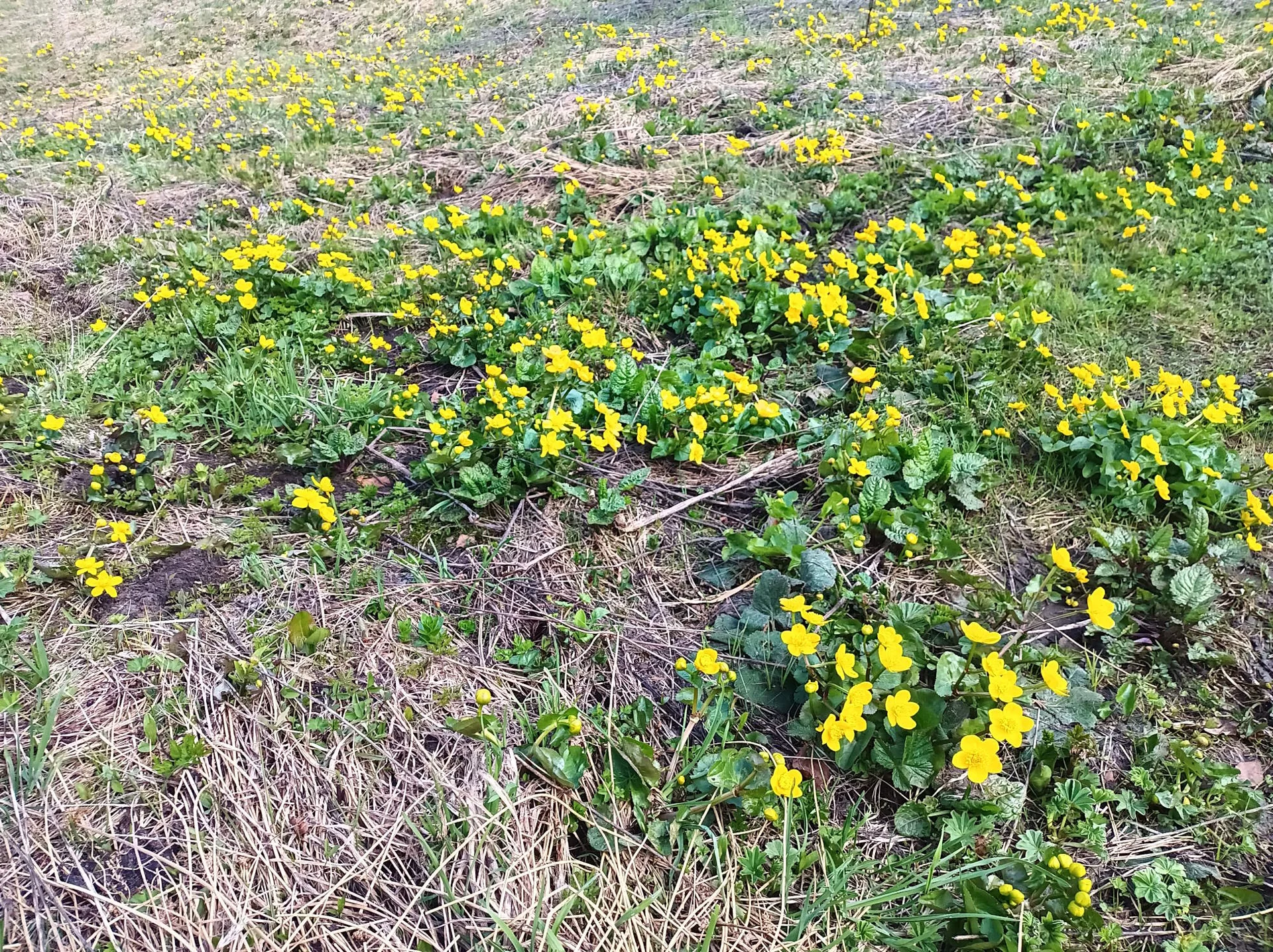 © DAV Teisendorf / OG Waging