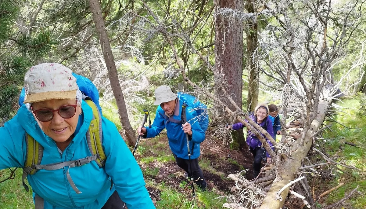 © DAV Teisendorf - OG Waging - Anstieg zum Gipfel