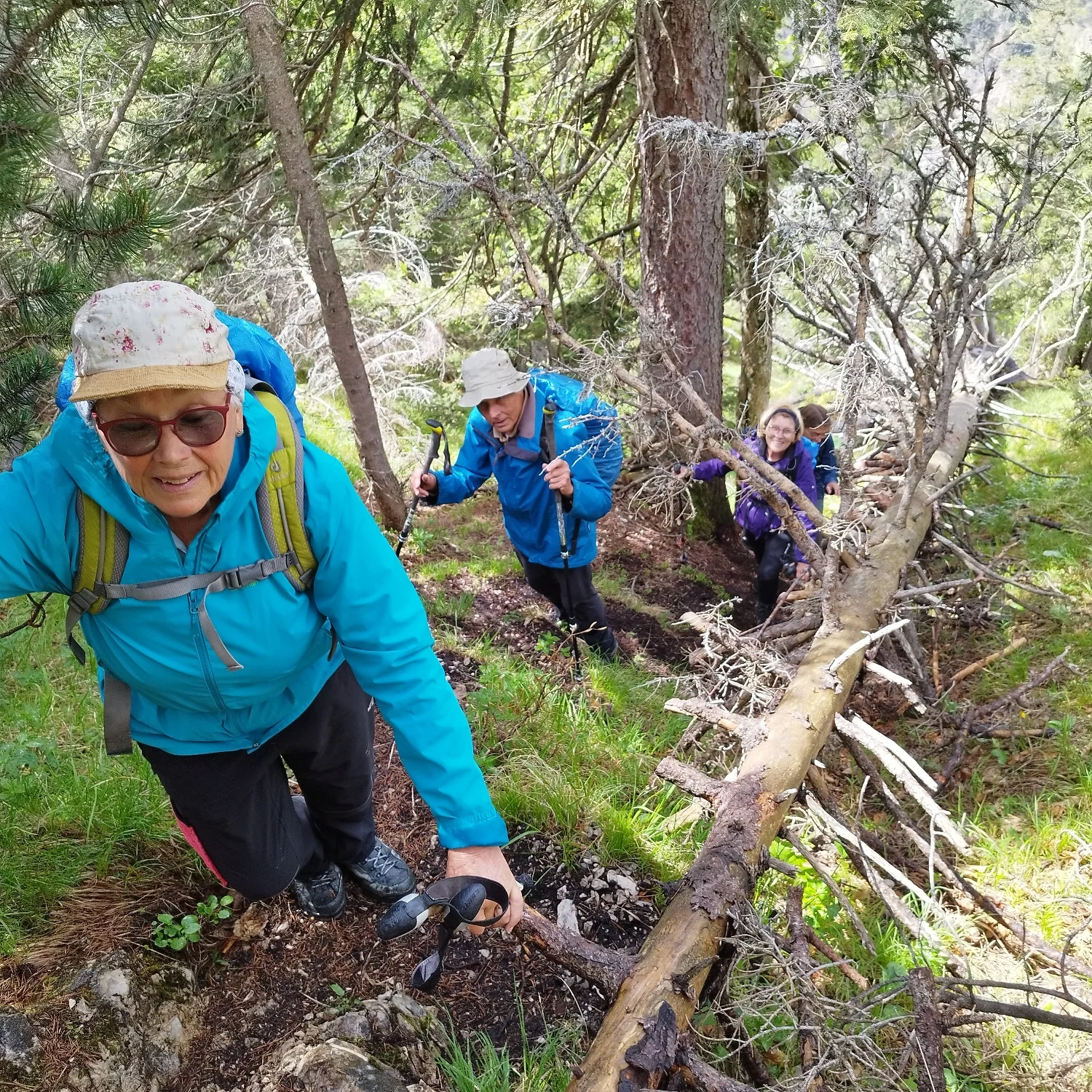 © DAV Teisendorf - OG Waging - Anstieg zum Gipfel