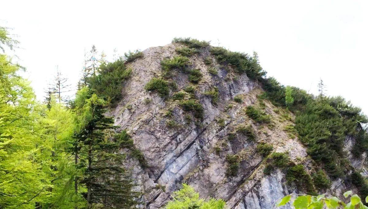 © DAV Teisendorf - OG Waging - Steile Ostwand des Hausgrabenkopfes