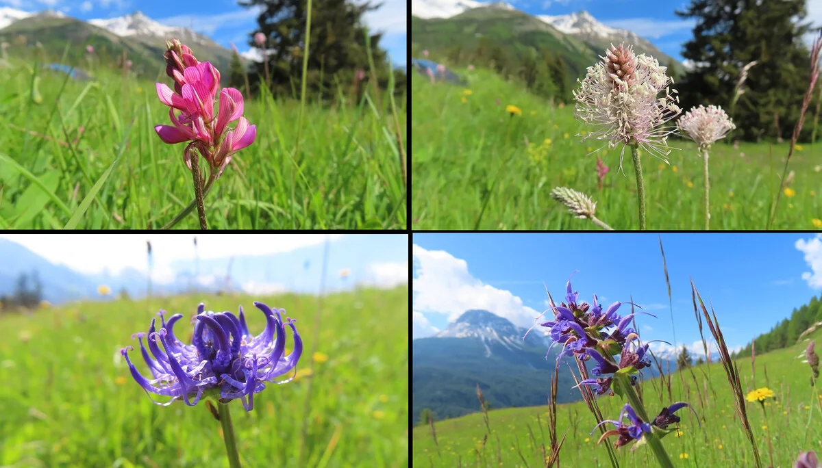 © DAV Teisendorf / OG Waging