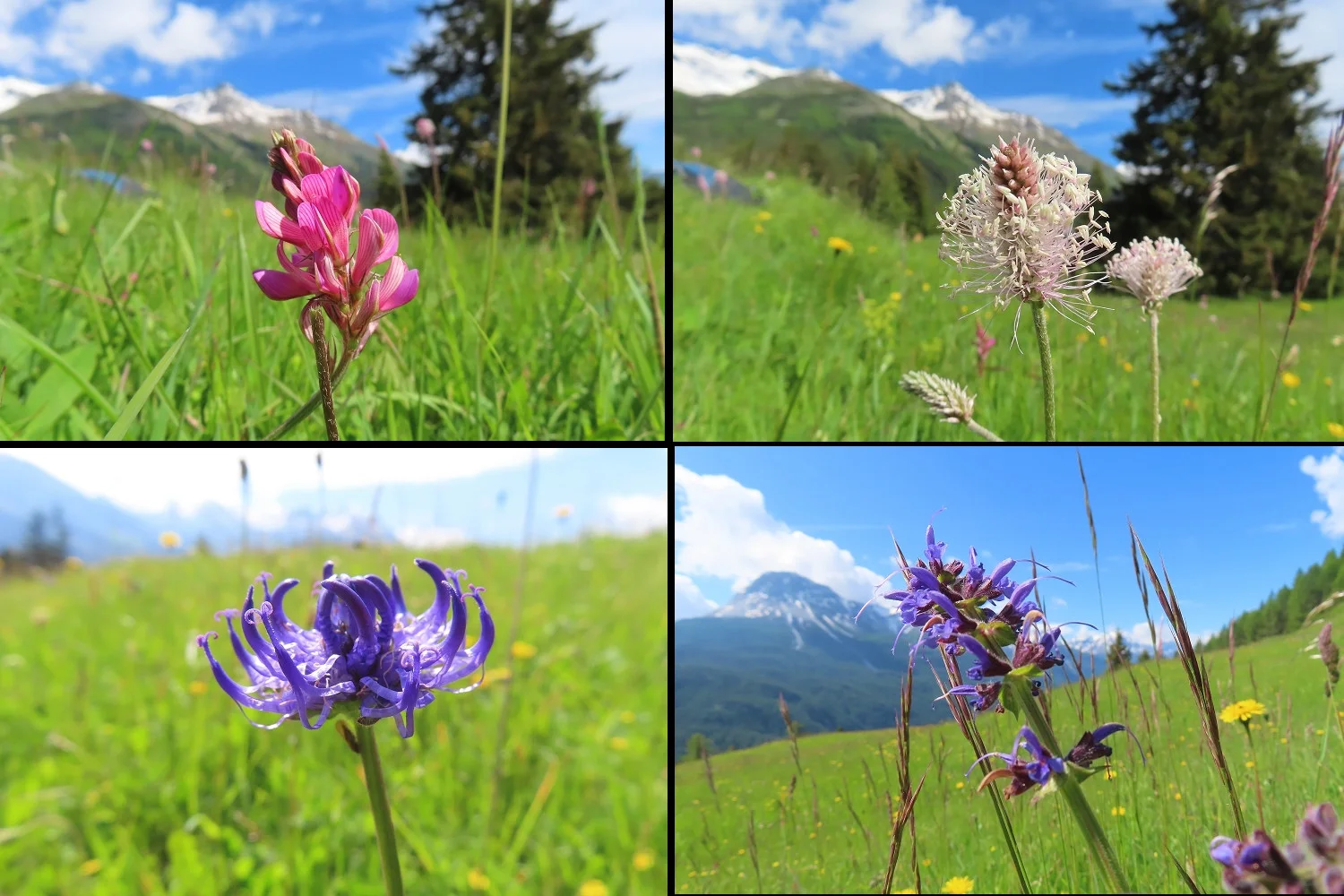 © DAV Teisendorf / OG Waging