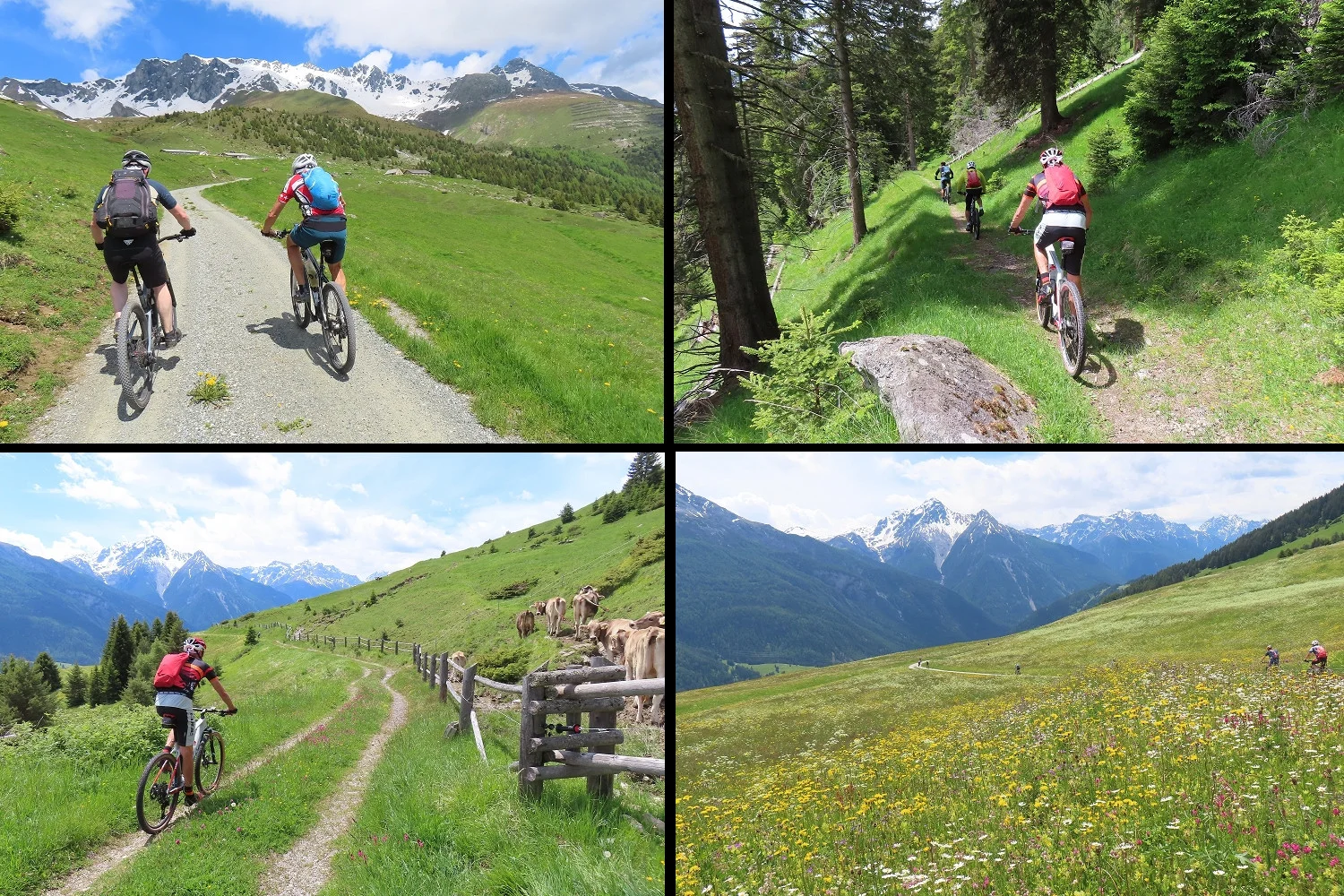 © DAV Teisendorf / OG Waging