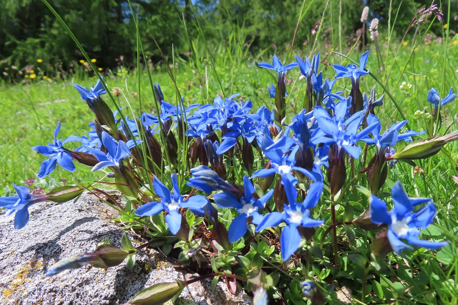 © DAV Teisendorf / OG Waging