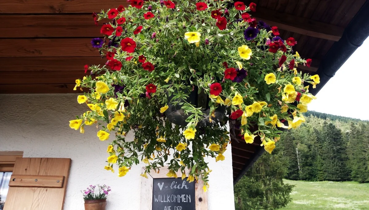 © DAV Teisendorf - OG-Waging / Feldlahnalm