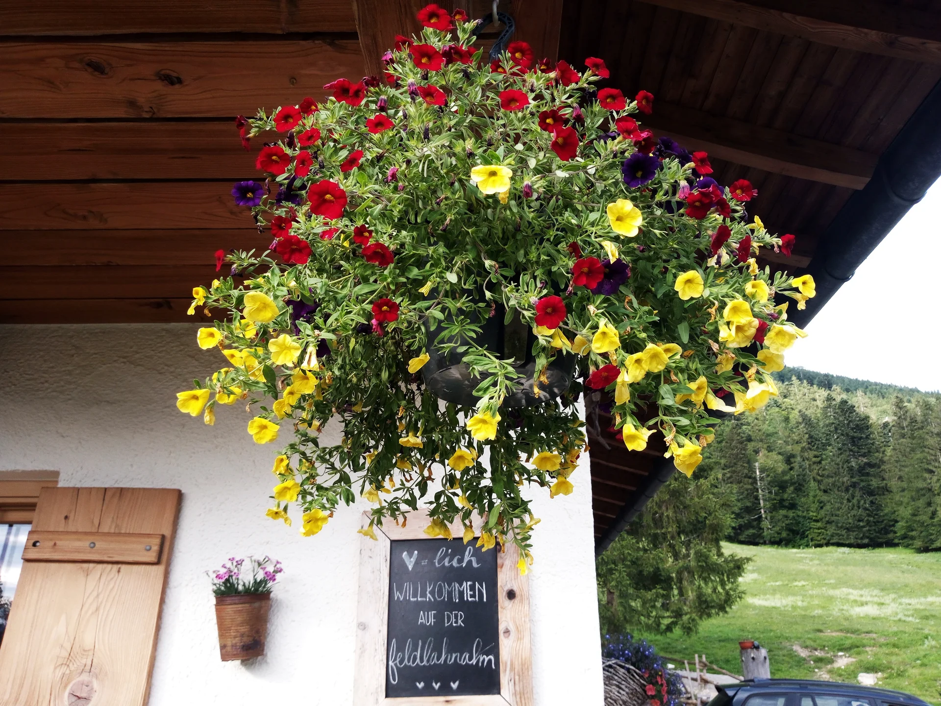 © DAV Teisendorf - OG-Waging / Feldlahnalm