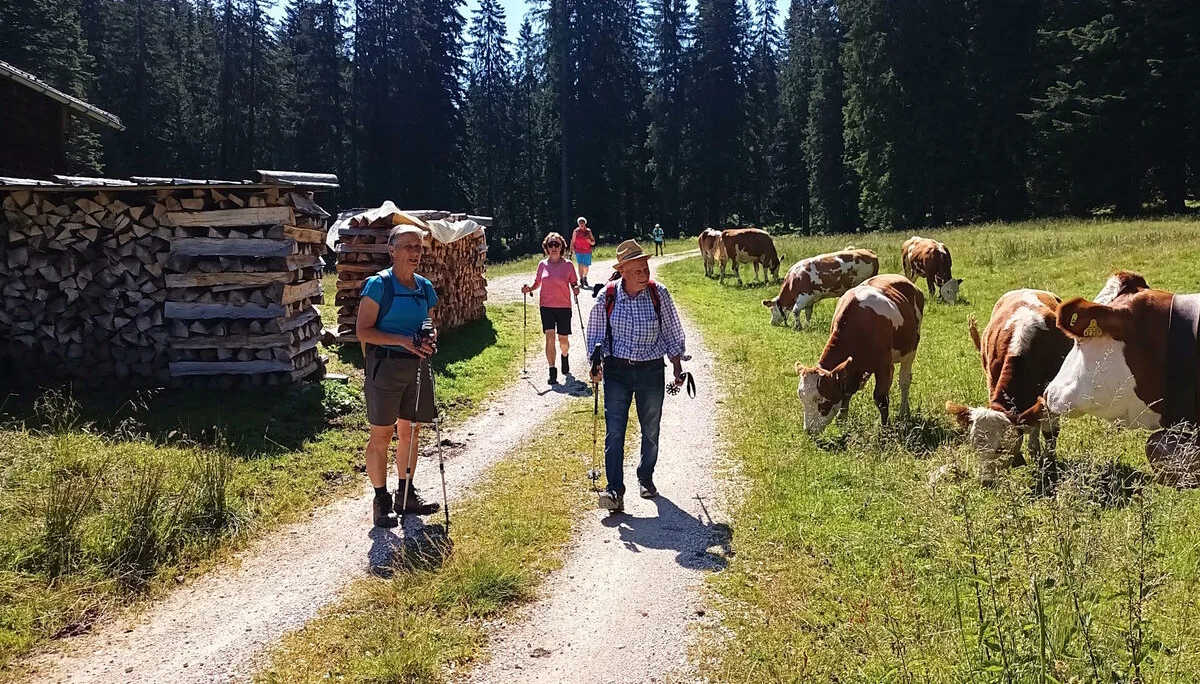 © DAV Teisendorf / OG Waging