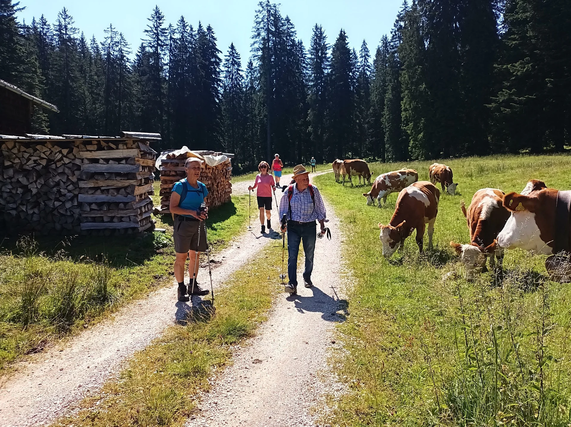 © DAV Teisendorf / OG Waging