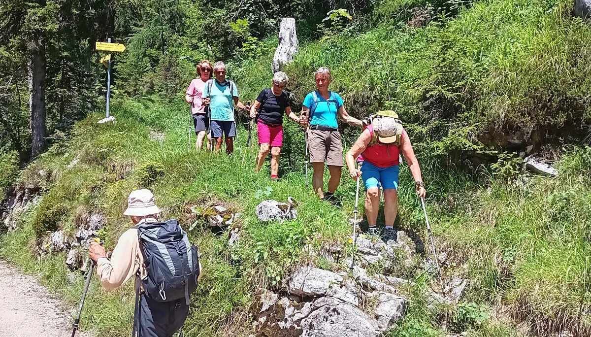 © DAV Teisendorf / OG Waging