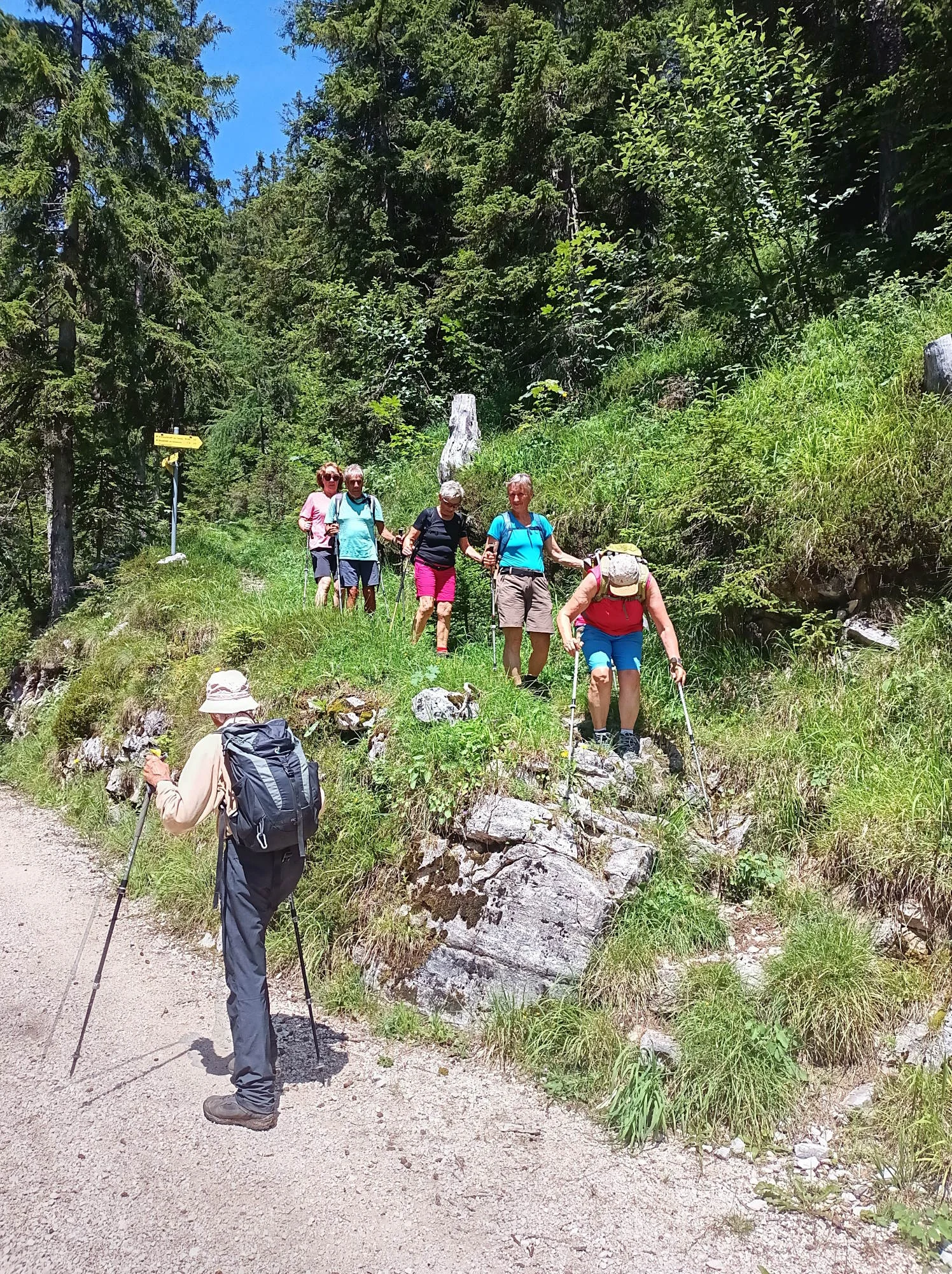 © DAV Teisendorf / OG Waging