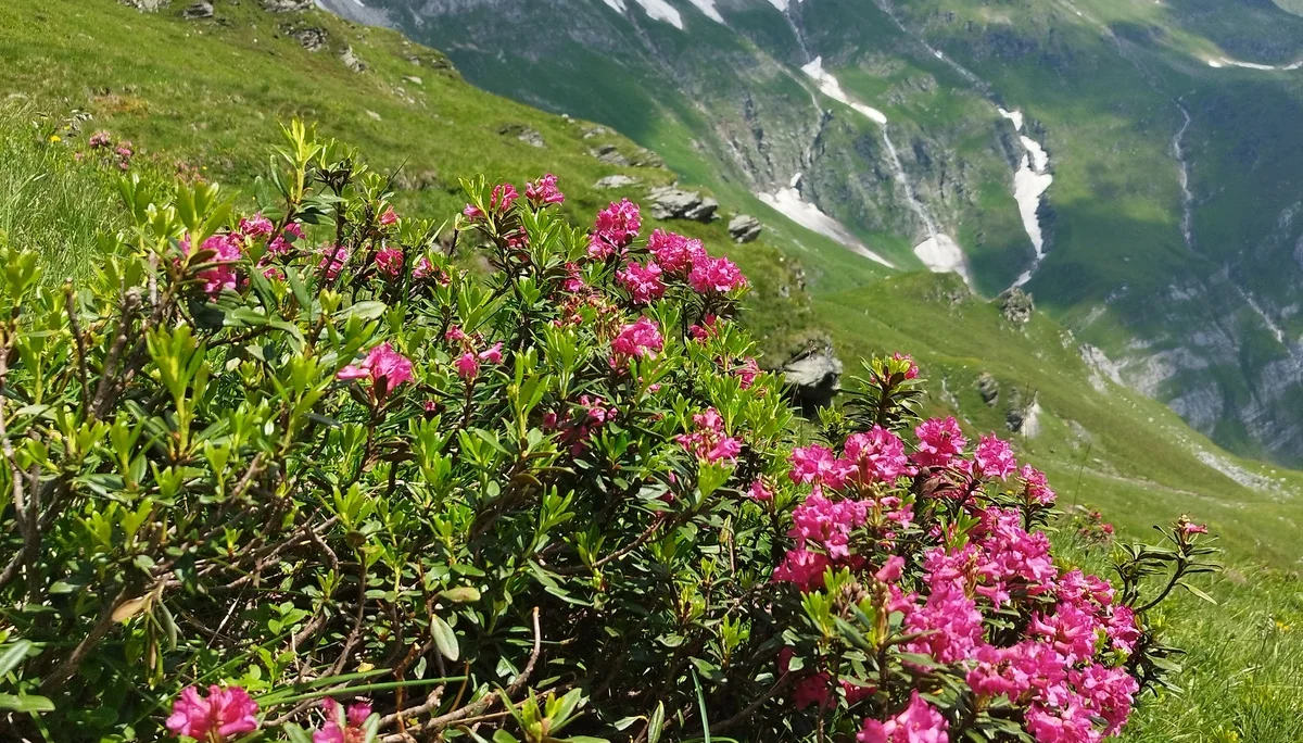 © DAV Teisendorf / OG Waging