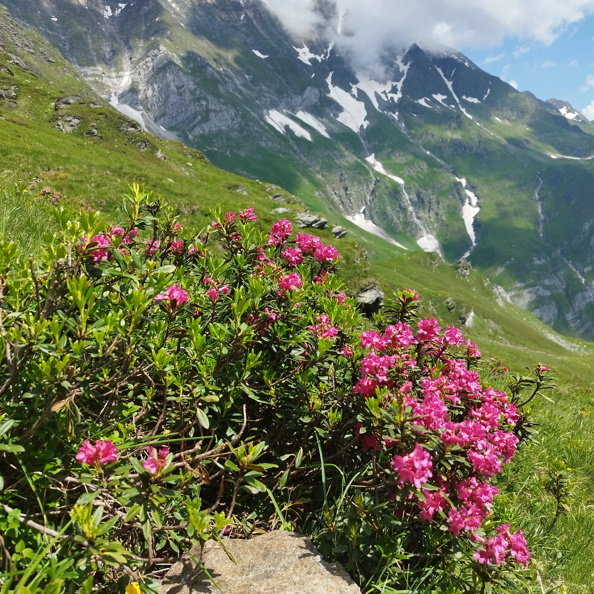 © DAV Teisendorf / OG Waging