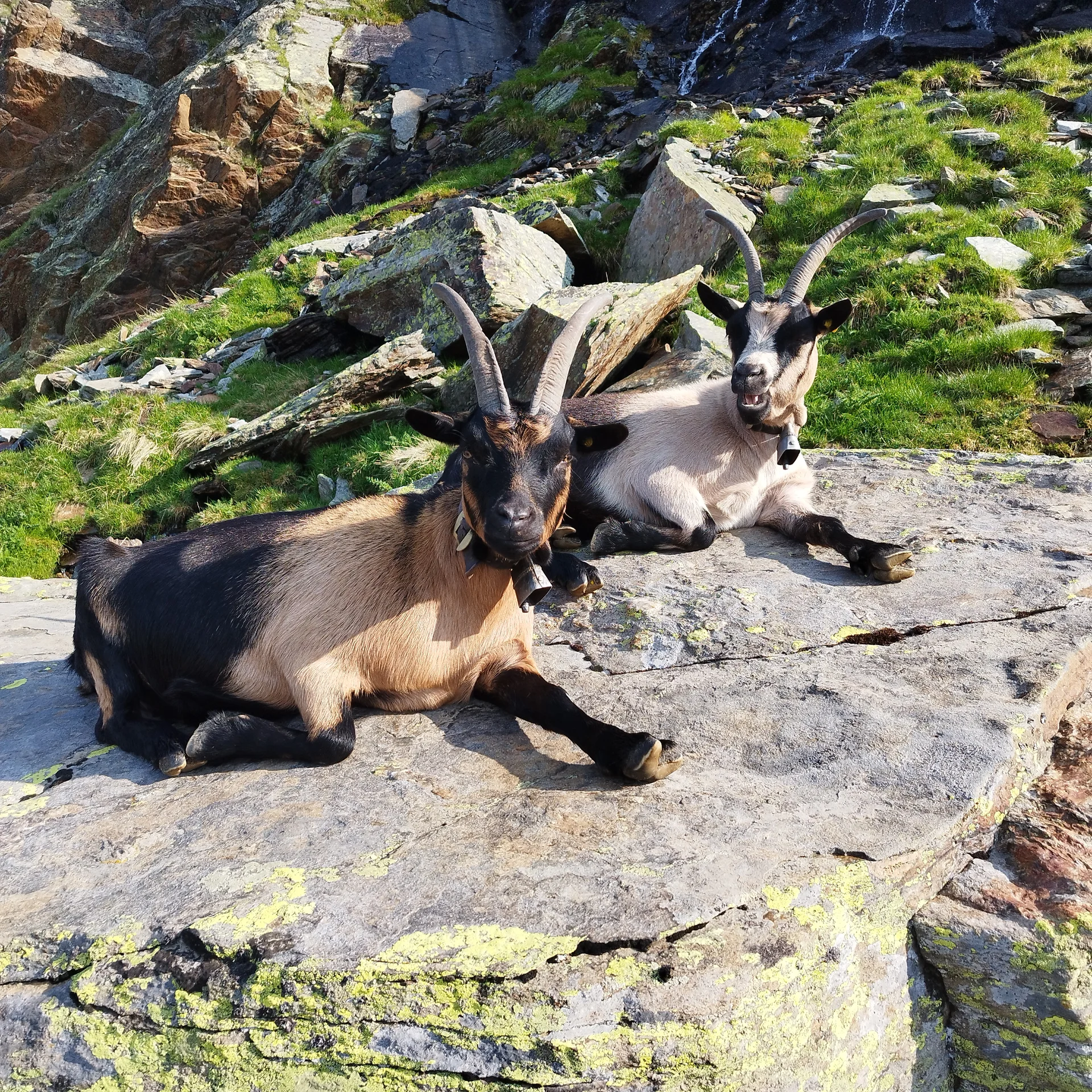 © DAV Teisendorf / OG Waging