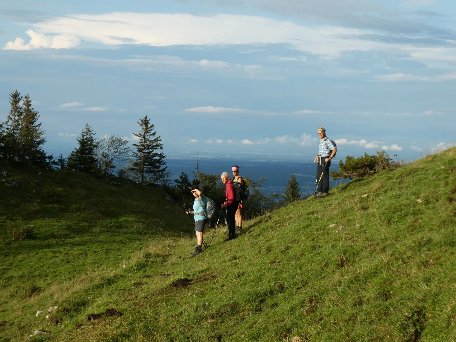 © DAV Teisendorf - OG Waging - Almgangerl