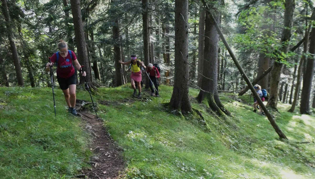 © DAV Teisendorf - OG Waging - Einsamer Steig