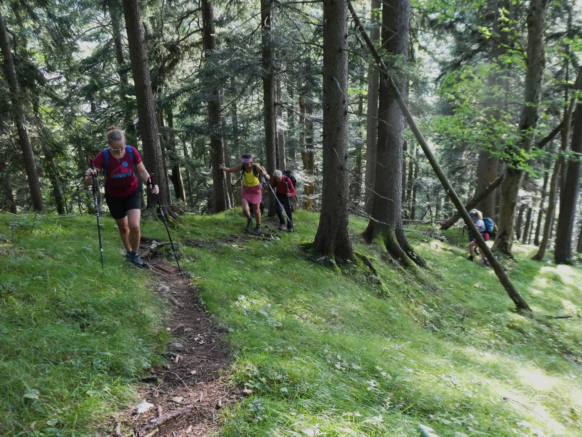 © DAV Teisendorf - OG Waging - Einsamer Steig