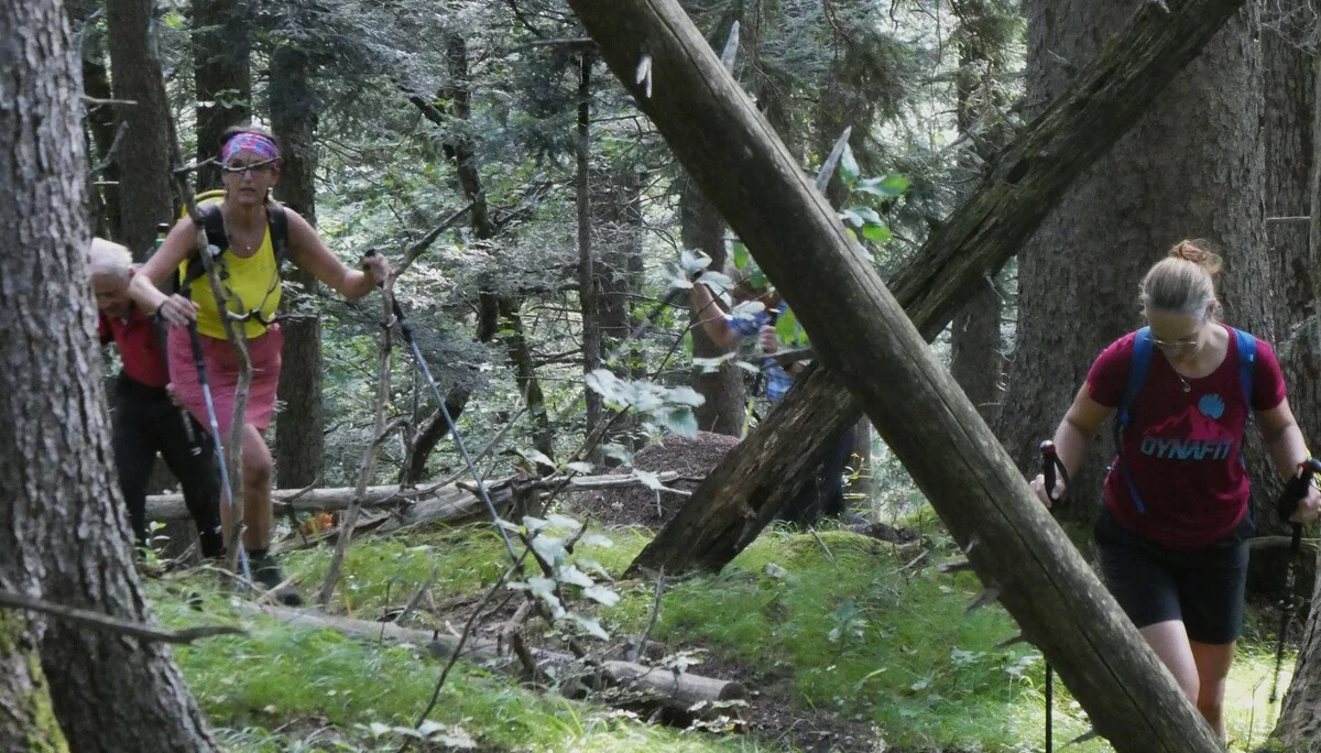 © DAV Teisendorf - OG Waging - unberürter Wald