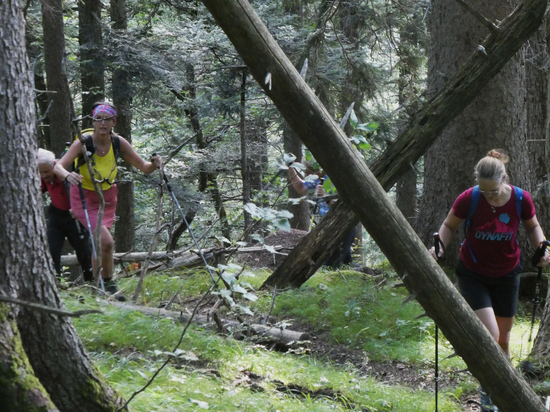 © DAV Teisendorf - OG Waging - unberürter Wald
