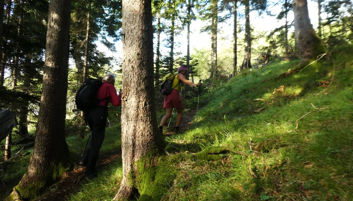 © DAV Teisendorf - OG Waging - Licht und Schatten