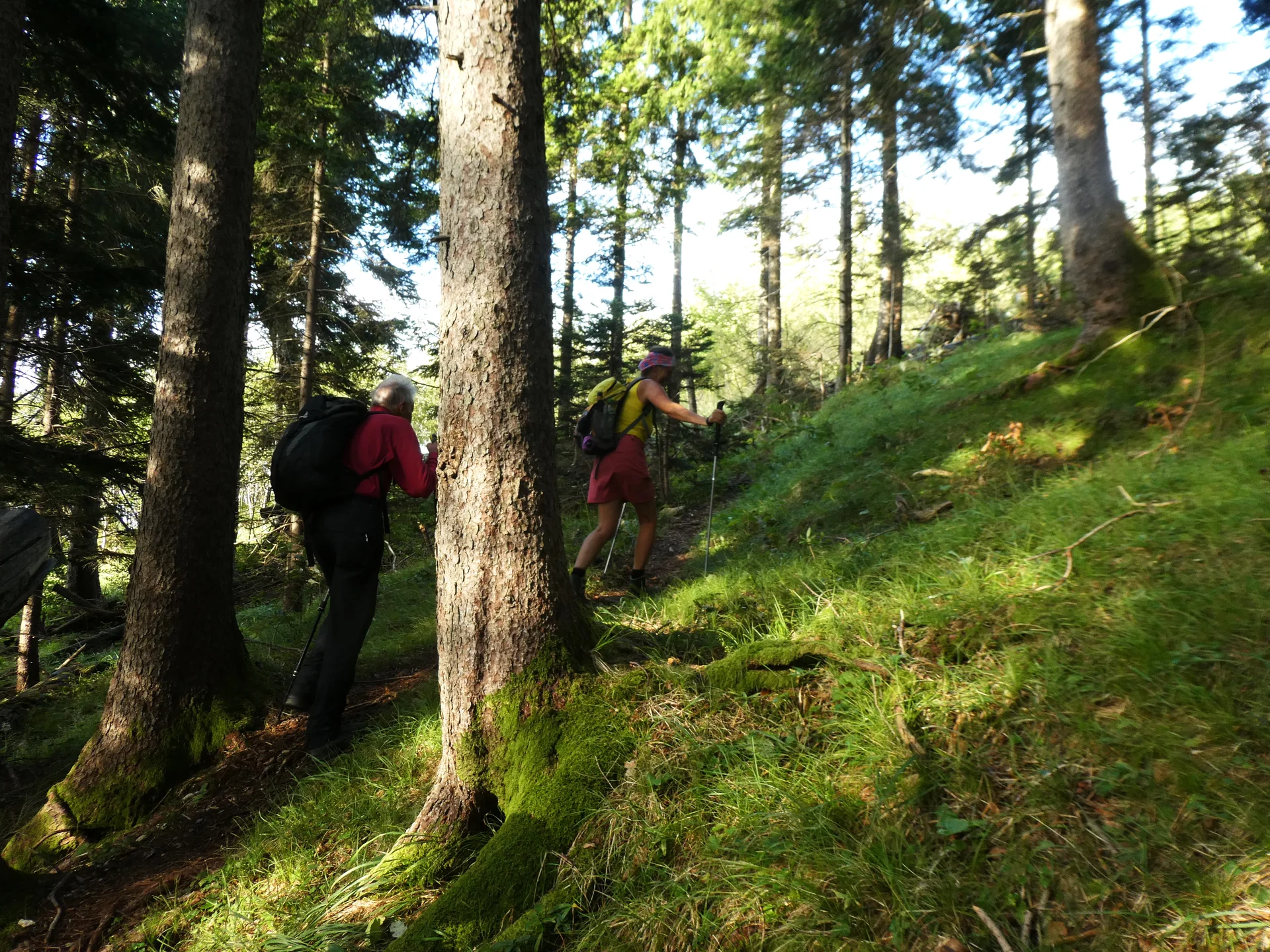 © DAV Teisendorf - OG Waging - Licht und Schatten