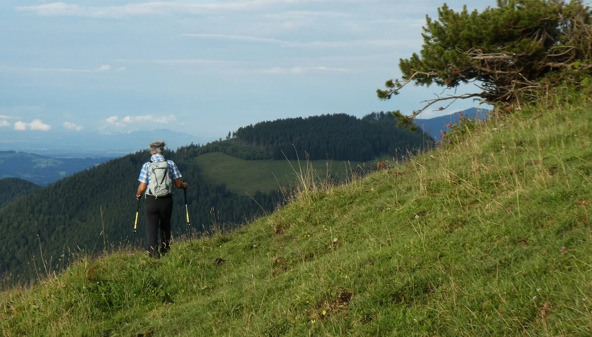 © DAV Teisendorf - OG Waging - Wiesentrail