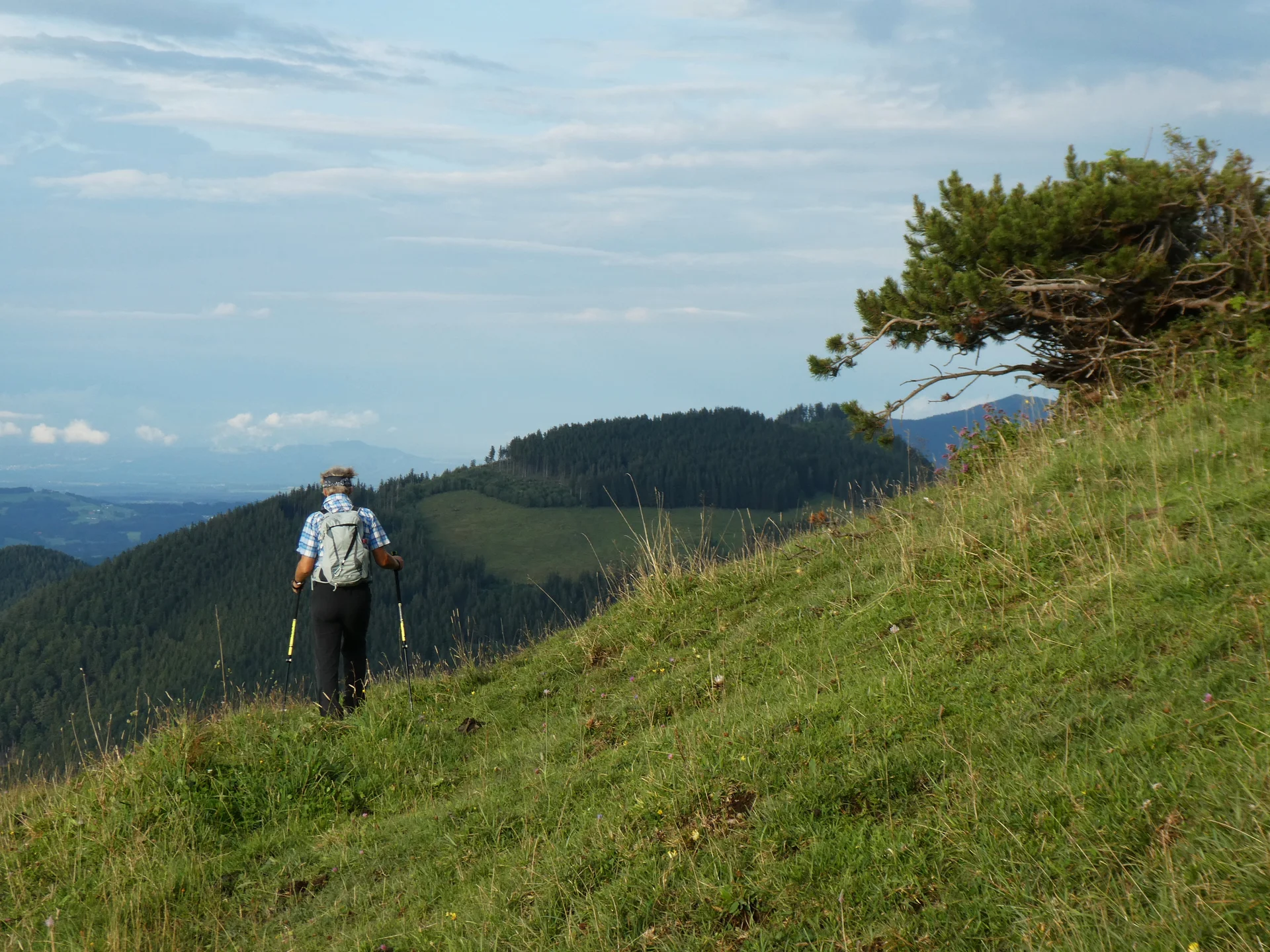 © DAV Teisendorf - OG Waging - Wiesentrail