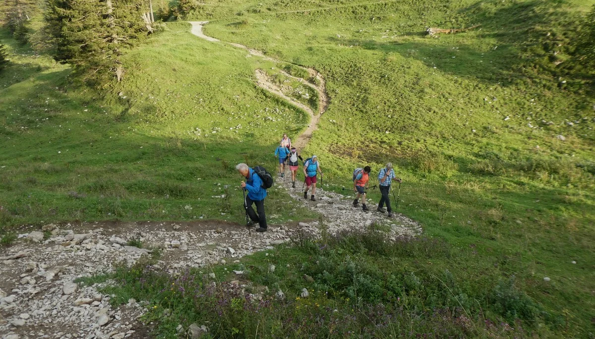 © DAV Teisendorf - OG Waging -  letzter Anstieg zum Bründlingskopf