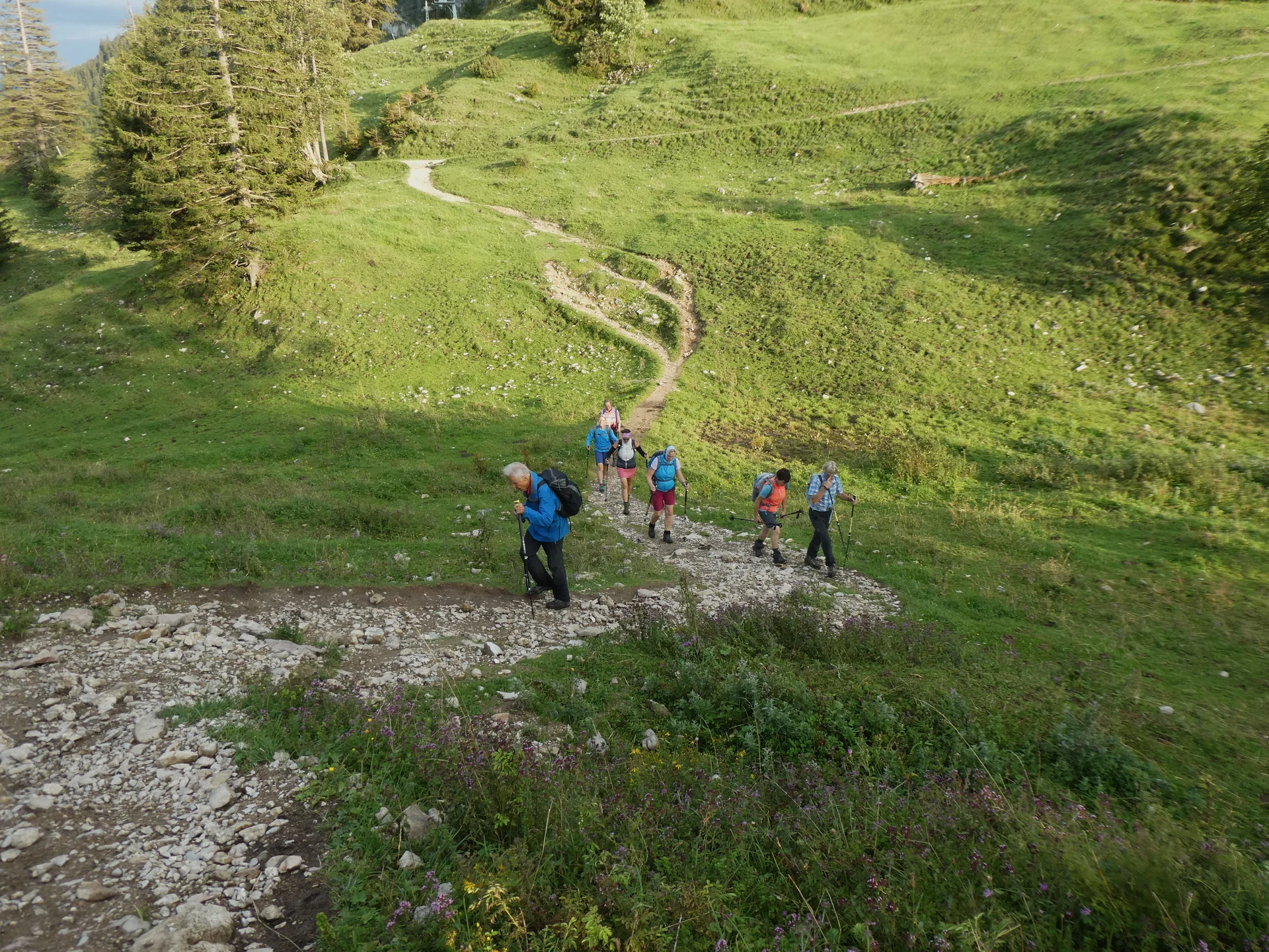 © DAV Teisendorf - OG Waging -  letzter Anstieg zum Bründlingskopf