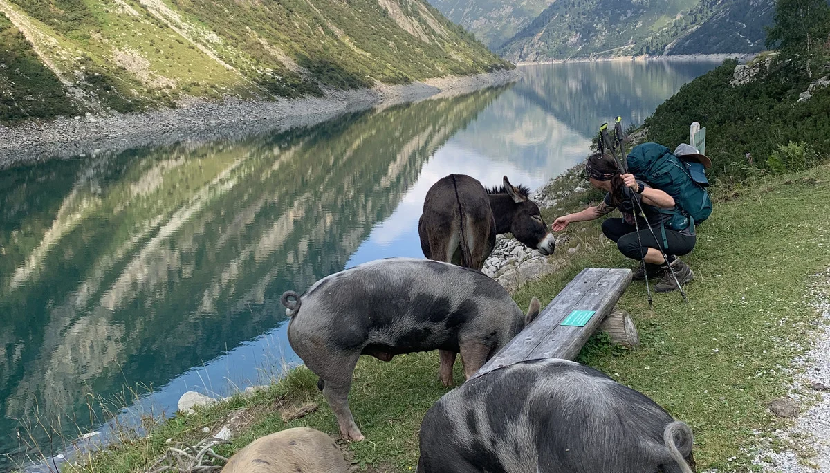 © DAV Teisendorf / OG Waging