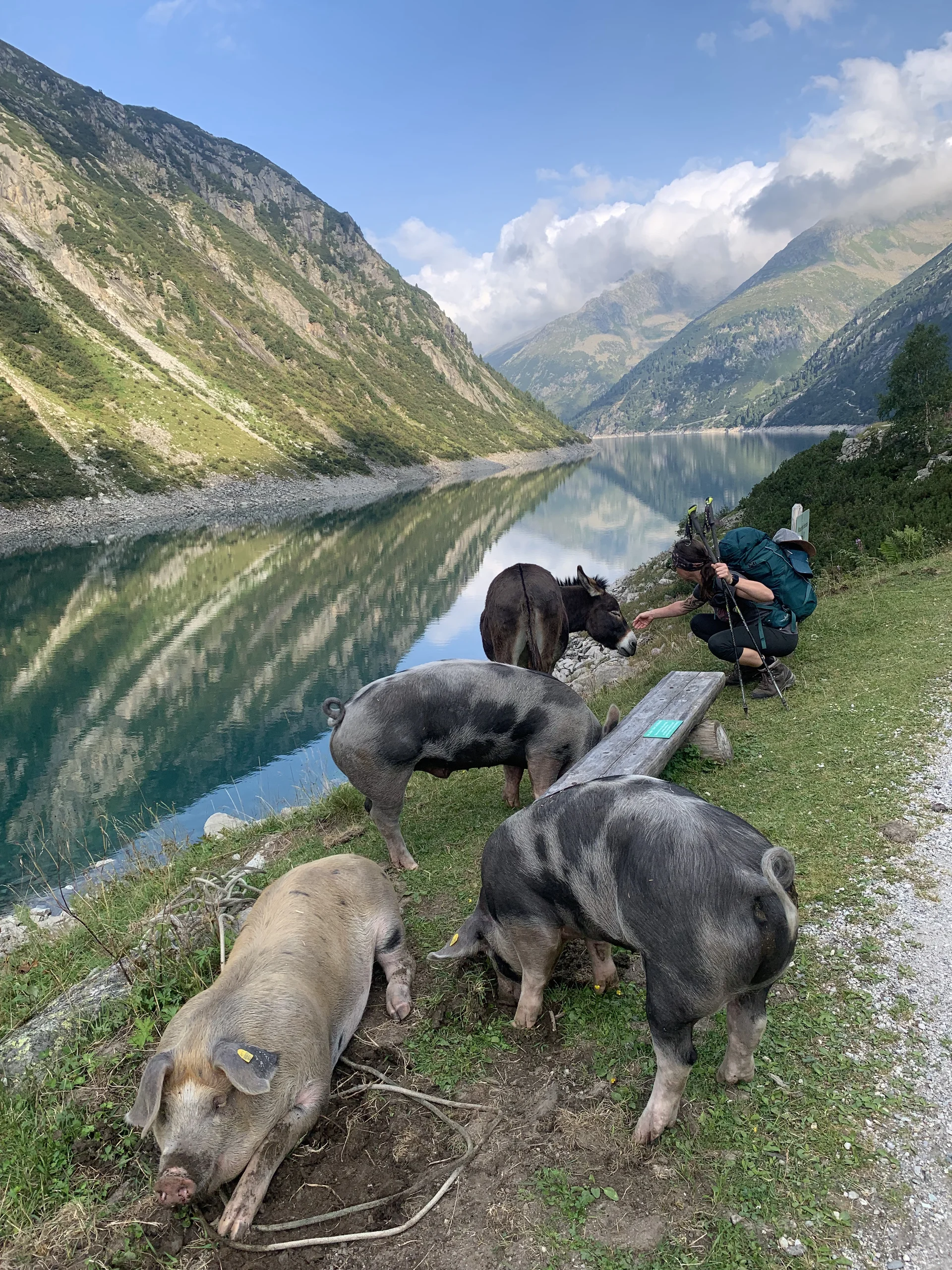 © DAV Teisendorf / OG Waging