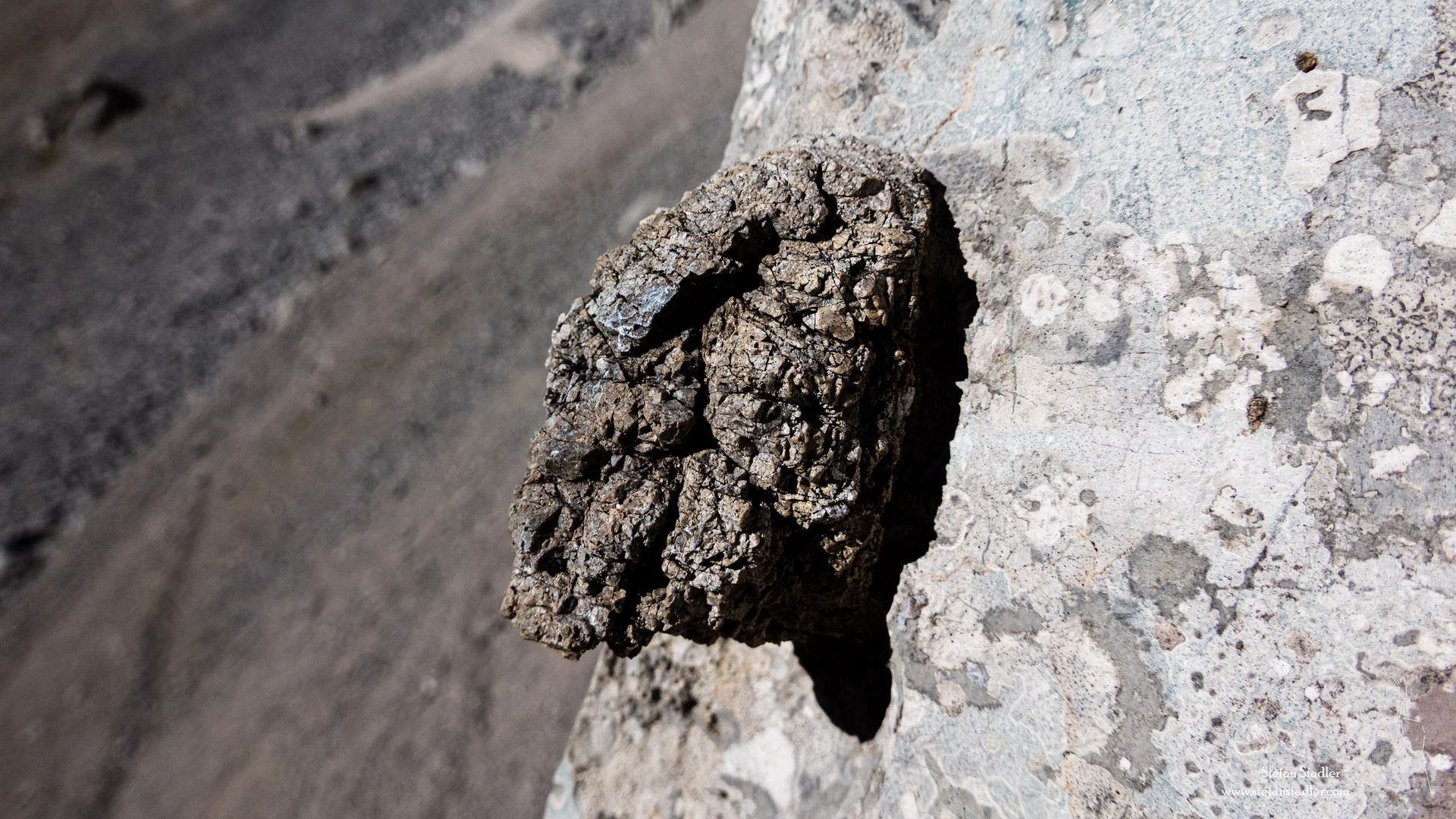 © DAV Teisendorf - Raue Warze an der MaMa-Kante