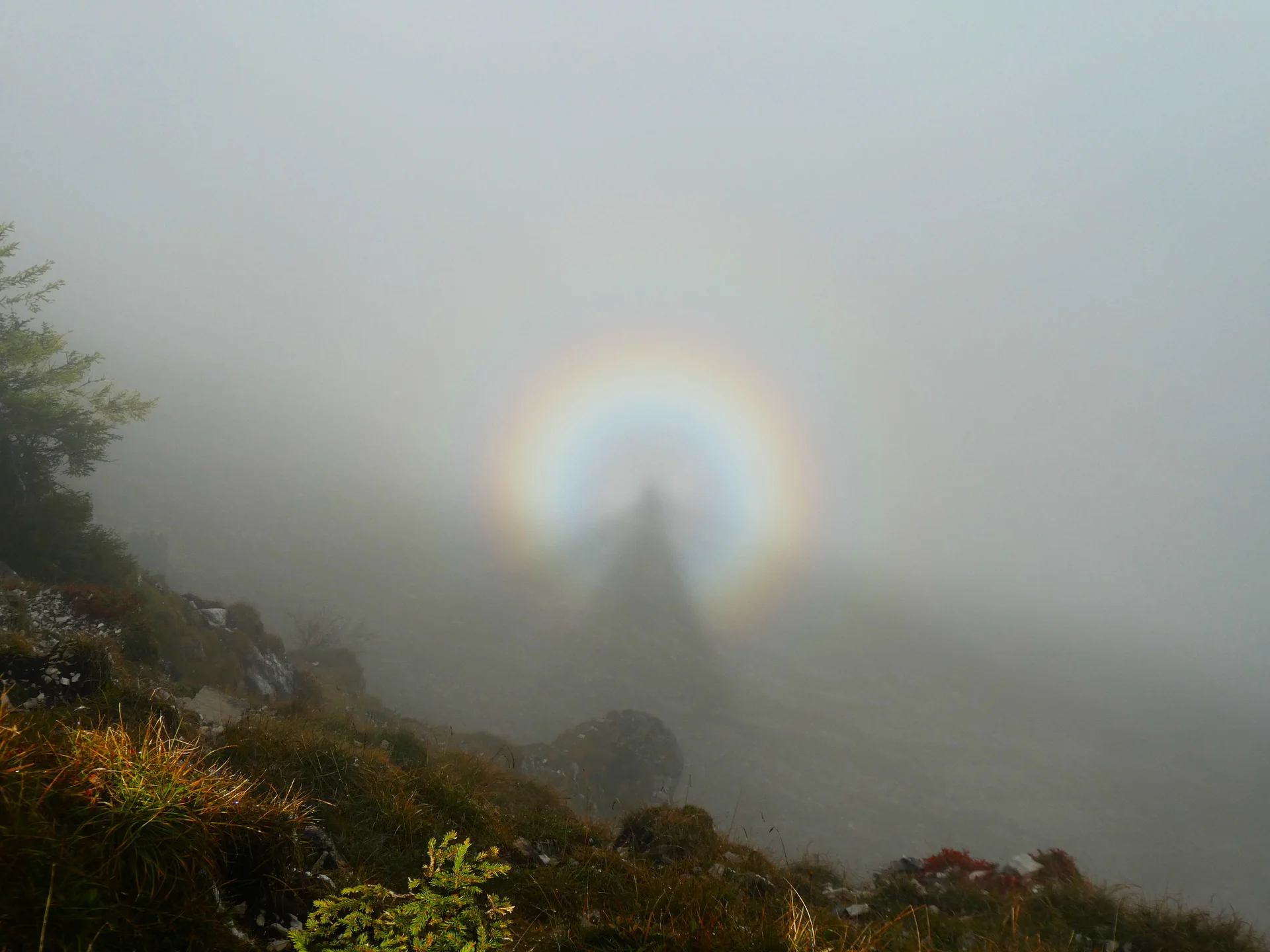 Brockengespenst | © DAV Teisendorf