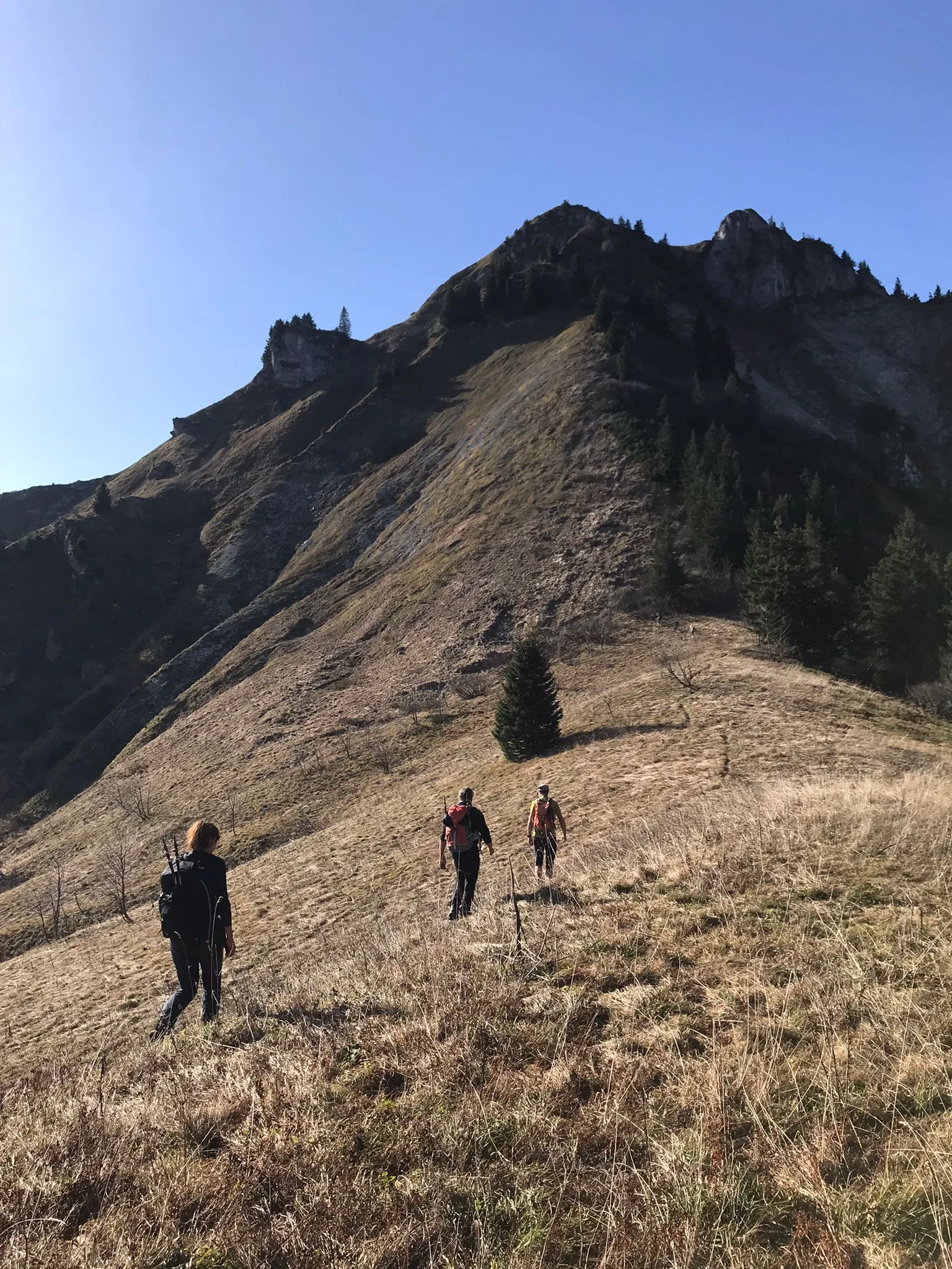 © DAV Teisendorf - OG Waging -  den Hochgern im Blick