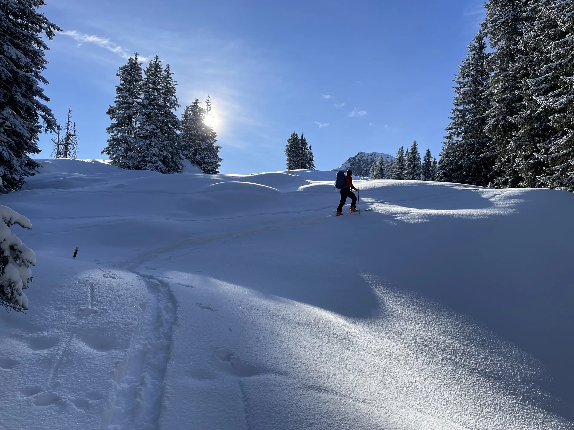 © DAV Teisendorf / OG Waging