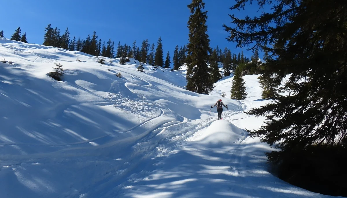 © DAV Teisendorf - Ortsgruppe Waging