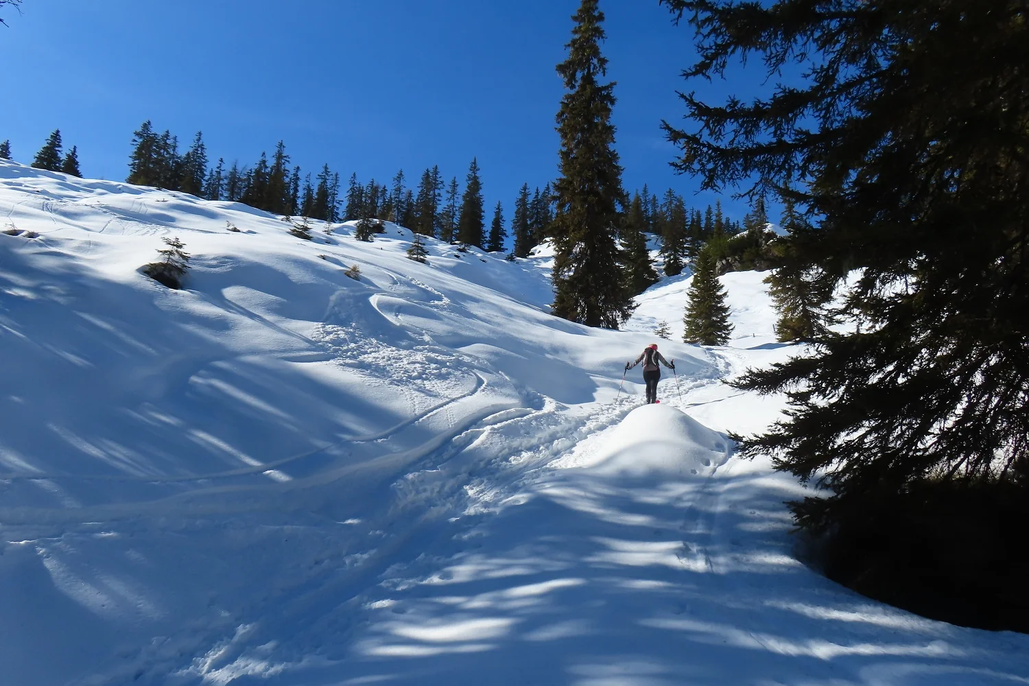 © DAV Teisendorf - Ortsgruppe Waging