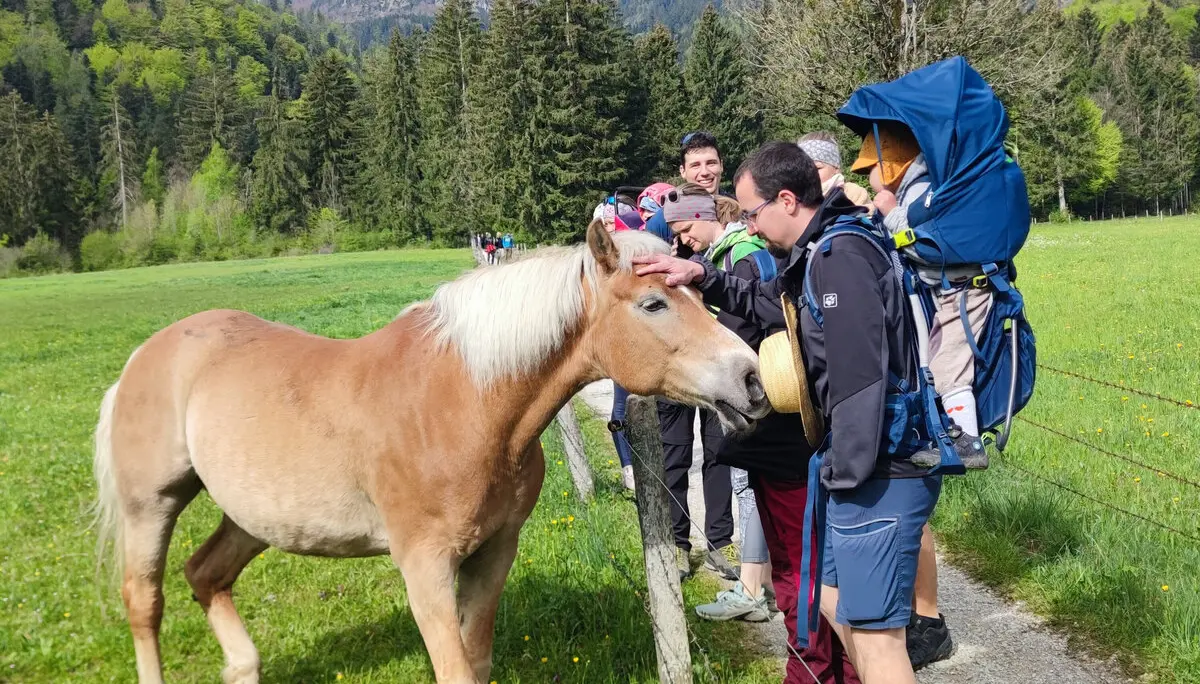 © DAV Teisendorf / OG Waging