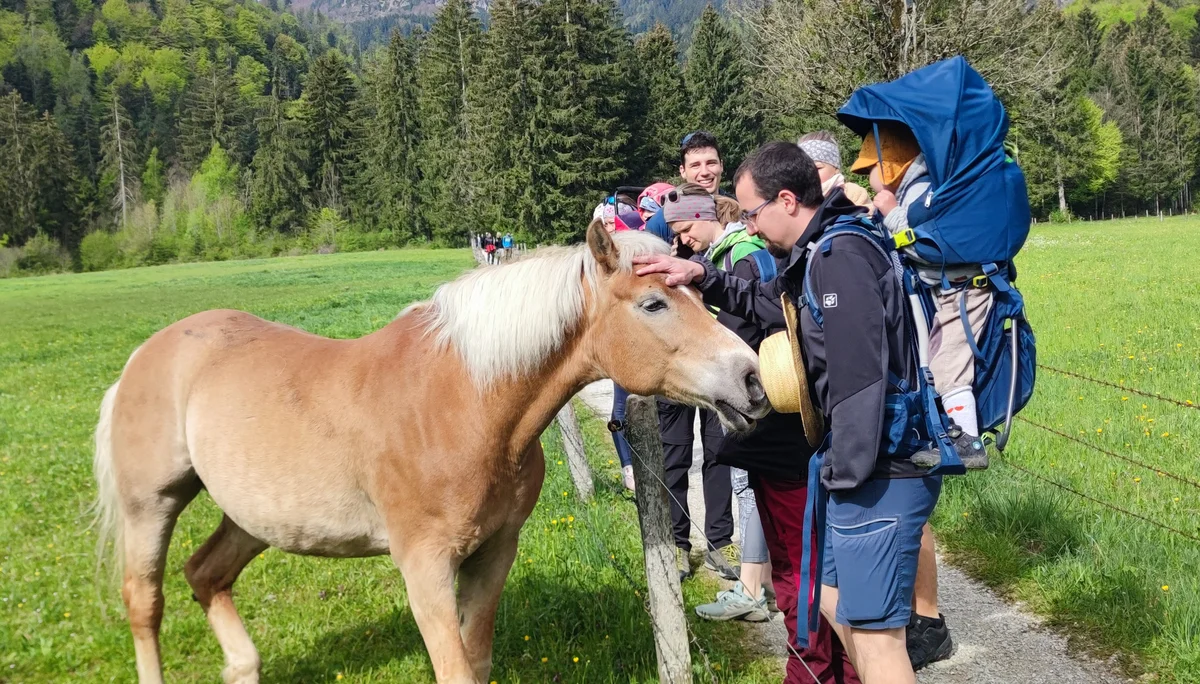 © DAV Teisendorf / OG Waging