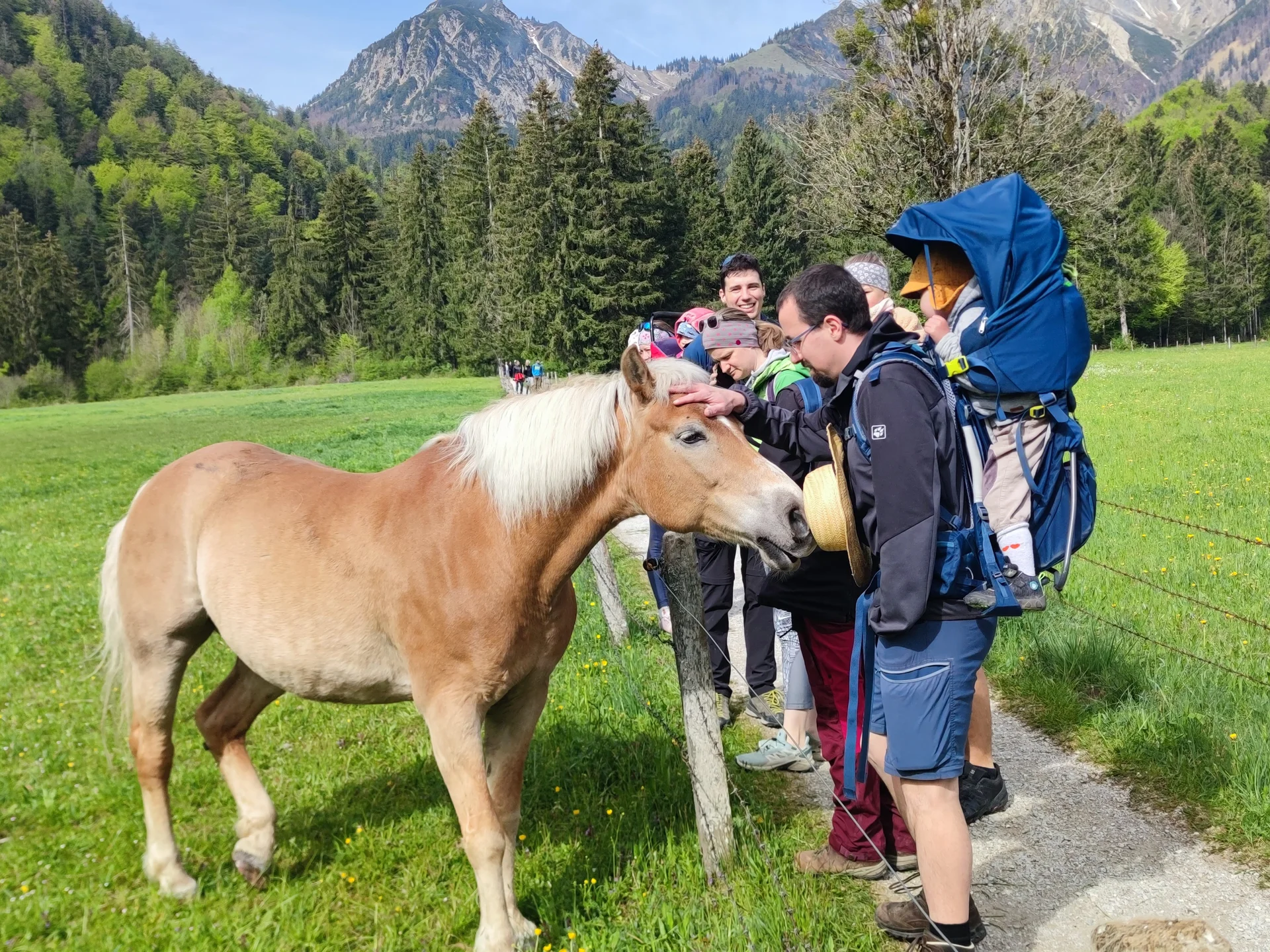 © DAV Teisendorf / OG Waging