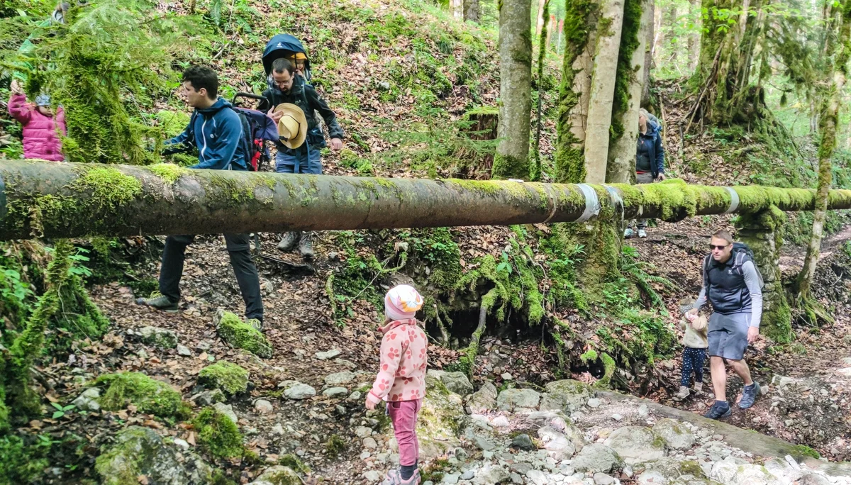 © DAV Teisendorf / OG Waging