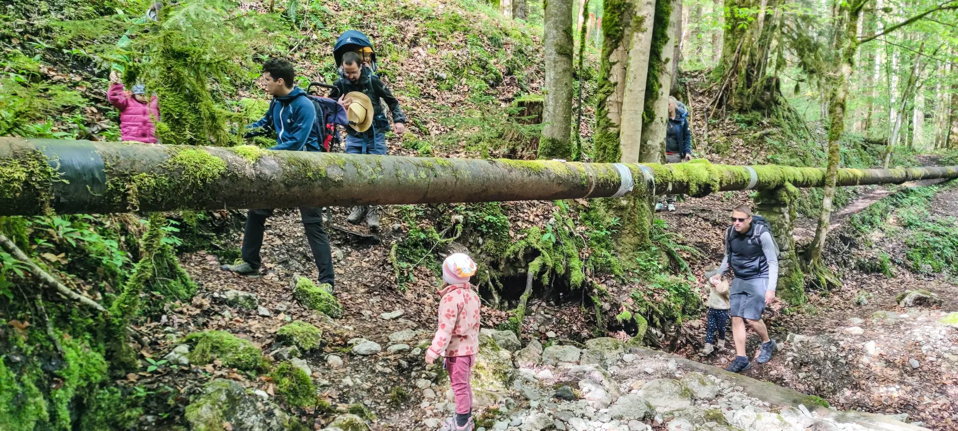 © DAV Teisendorf / OG Waging