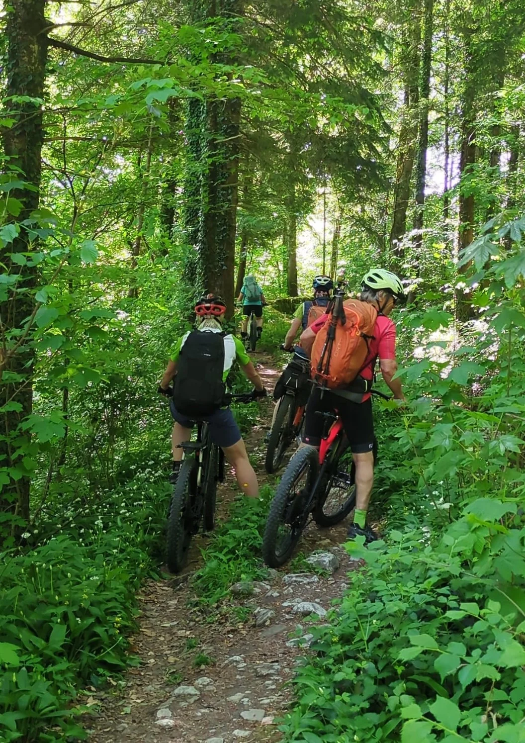 Grüner geht's nicht mehr | © DAV Sektion Teisendorf