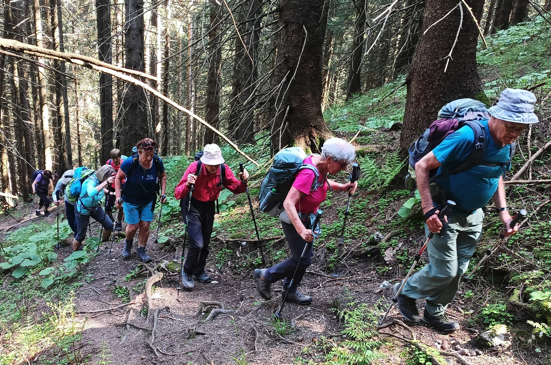 © DAV Teisendorf - OG Waging